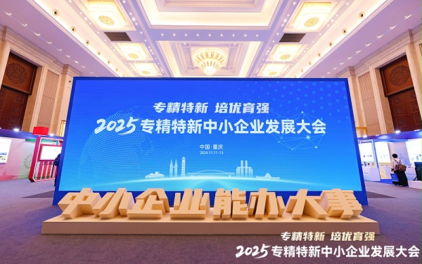 2025专精特新中小企业发展大会