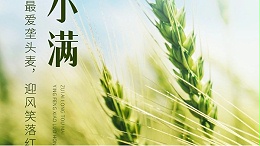 小满已至|夏花半开，麦半转熟