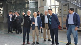 热烈欢迎|奇美实业许春华董事长一行莅临青岛中新华美视察指导