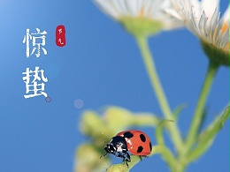 中新华美染色塑料：惊蛰春雷响，万物皆兴旺